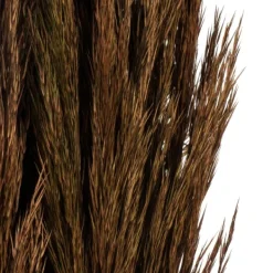 Stems & Bouquets-Kirkland's Home Preserved Plume Reed Bundles, Set Of 2 Brown