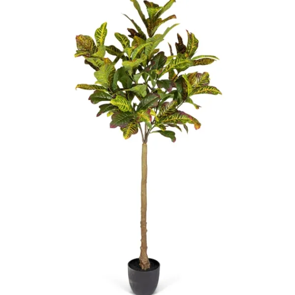 Trees & Topiaries-Kirkland's Home Real Touch Croton Leaf Tree In Black Pot, 6 Ft.
