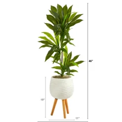 Trees & Topiaries-Kirkland's Home Real Touch Dracaena In Mossy Tripod Planter