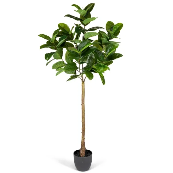 Trees & Topiaries-Kirkland's Home Real Touch Rubber Tree In Black Pot, 6 Ft.
