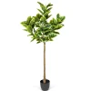Trees & Topiaries-Kirkland's Home Real Touch Variegated Rubber Tree, 6 Ft.