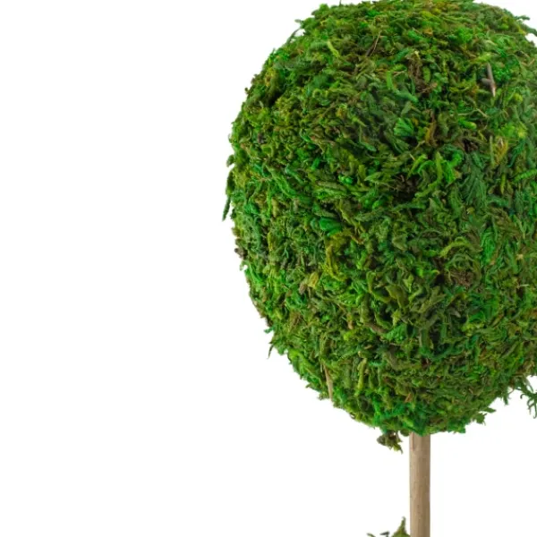 Trees & Topiaries-Kirkland's Home Reindeer Moss Ball Topiary In White Pot