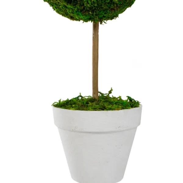 Trees & Topiaries-Kirkland's Home Reindeer Moss Ball Topiary In White Planter