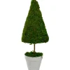 Trees & Topiaries-Kirkland's Home Reindeer Moss Cone Topiary In White Planter