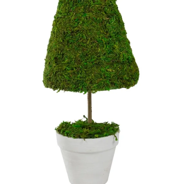 Trees & Topiaries-Kirkland's Home Reindeer Moss Cone Topiary In White Planter
