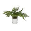 Arrangements & Greenery-Kirkland's Home River Rock Fern In Ribbed White Planter Green/Blue
