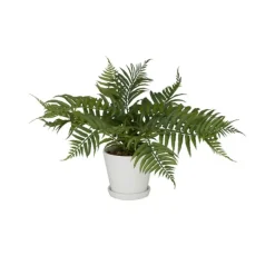 Arrangements & Greenery-Kirkland's Home River Rock Fern In Ribbed White Planter Green/Blue