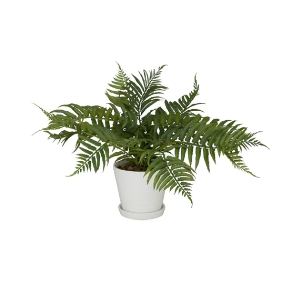 Arrangements & Greenery-Kirkland's Home River Rock Fern In Ribbed White Planter Green/Blue