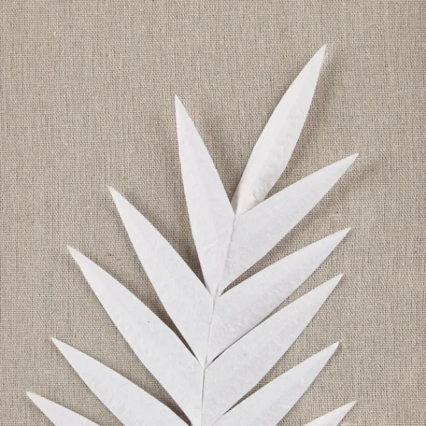 Wall Plaques-Kirkland's Home Sabal Rice Paper Palm Shadowbox Plaques, Set Of 3 White/Tan