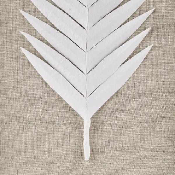 Wall Plaques-Kirkland's Home Sabal Rice Paper Palm Shadowbox Plaques, Set Of 3 White/Tan