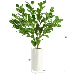 Arrangements & Greenery-Kirkland's Home Salal Shrub In Oblong Ribbed Vase, 21 In. Green/White