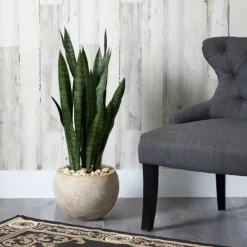 Trees & Topiaries-Kirkland's Home Sanserviera River Rock Plant In Sand Planter