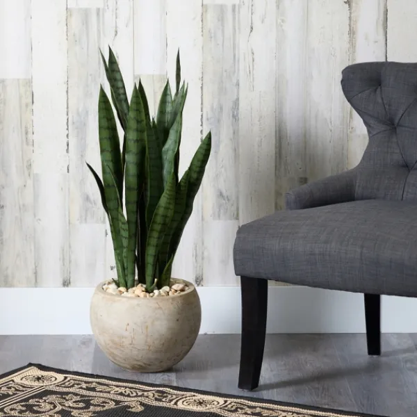 Trees & Topiaries-Kirkland's Home Sanserviera River Rock Plant In Sand Planter