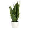 Arrangements & Greenery-Kirkland's Home Sansevieria Arrangement In White Planter Gray/White
