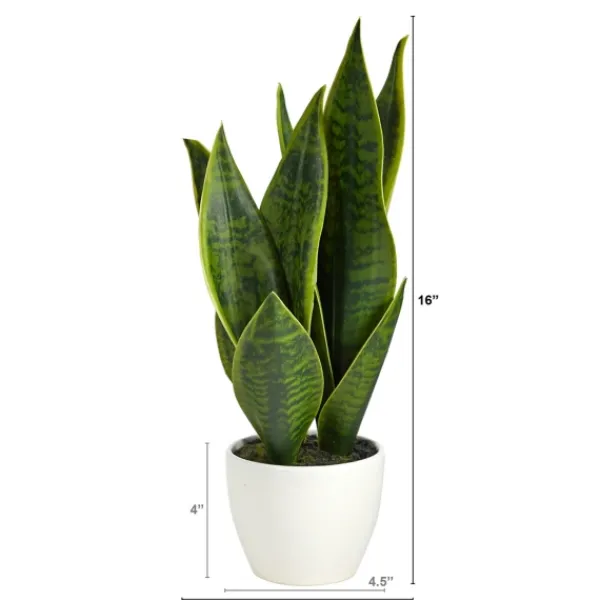 Arrangements & Greenery-Kirkland's Home Sansevieria Arrangement In White Planter Gray/White