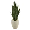 Trees & Topiaries-Kirkland's Home Sansevieria Arrangement In Sand Planter
