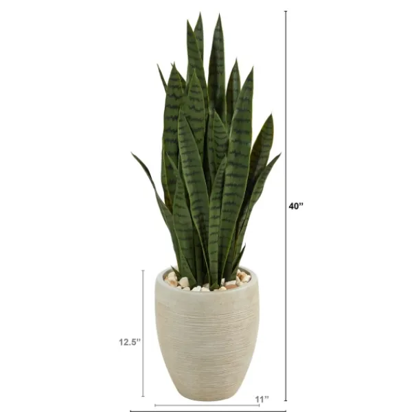 Trees & Topiaries-Kirkland's Home Sansevieria Arrangement In Sand Planter