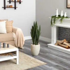 Trees & Topiaries-Kirkland's Home Sansevieria Arrangement In Sand Planter