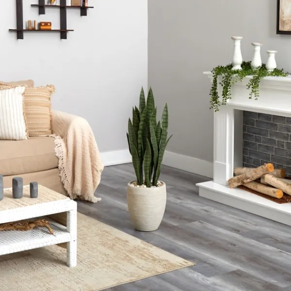 Trees & Topiaries-Kirkland's Home Sansevieria Arrangement In Sand Planter