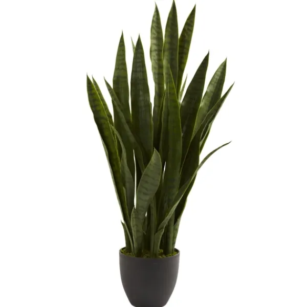 Trees & Topiaries-Kirkland's Home Sansevieria Floor Plant In Black Planter