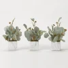Arrangements & Greenery-Kirkland's Home Seeded Eucalyptus Branches In Cubes, Set Of 3 Green