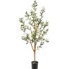 Trees & Topiaries-Kirkland's Home Slender Olive Branch Tree In Nursery Planter