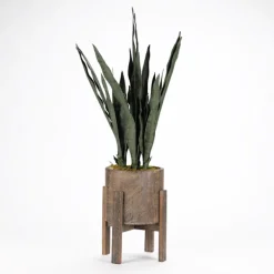 Arrangements & Greenery-Kirkland's Home Snake Plant In Round Wooden Planter Stand, 36 In. Green