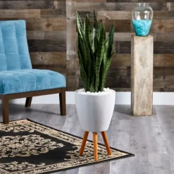 Trees & Topiaries-Kirkland's Home Snake Plant In White Tri-Pod Planter