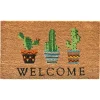 Doormats-Kirkland's Home Southwestern Cactus Coir Doormat Brown/Black/Gray