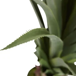 Arrangements & Greenery-Kirkland's Home Spiked Agave Plant In Nursery Planter Green/Black