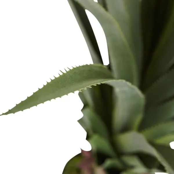 Arrangements & Greenery-Kirkland's Home Spiked Agave Plant In Nursery Planter Green/Black