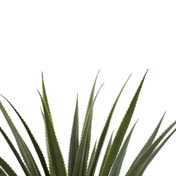 Arrangements & Greenery-Kirkland's Home Spiked Agave Plant In Nursery Planter Green/Black