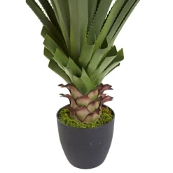 Arrangements & Greenery-Kirkland's Home Spiked Agave Plant In Nursery Planter Green/Black