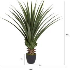 Arrangements & Greenery-Kirkland's Home Spiked Agave Plant In Nursery Planter Green/Black