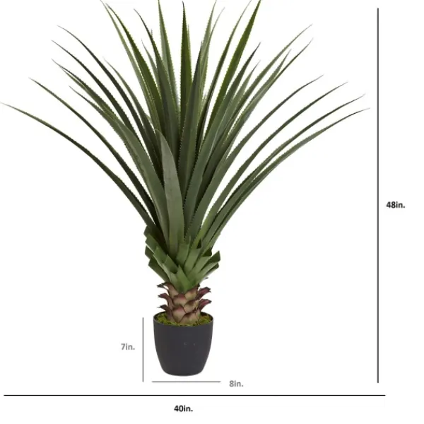 Arrangements & Greenery-Kirkland's Home Spiked Agave Plant In Nursery Planter Green/Black