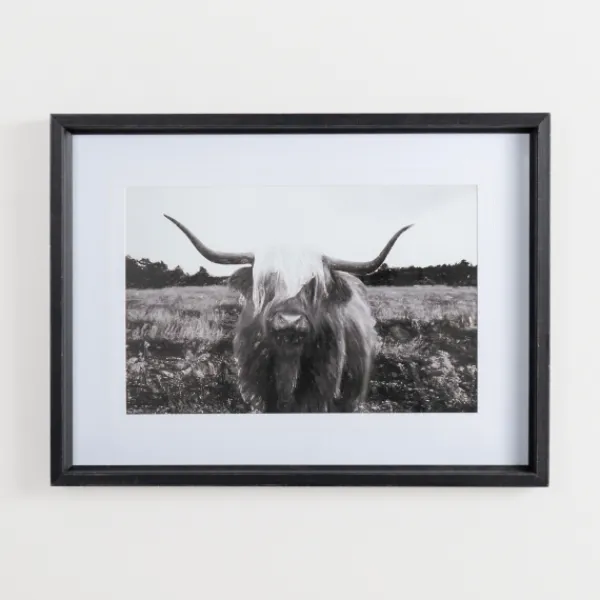 Framed Art-Kirkland's Home Stoic Steer Framed Art Print Black/White