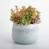 Arrangements & Greenery-Kirkland's Home Succulent Arrangement In Blue Stone Planter Blue/Green/Pink