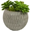 Arrangements & Greenery-Kirkland's Home Succulent Arrangement In Round Cement Planter Green/Gray