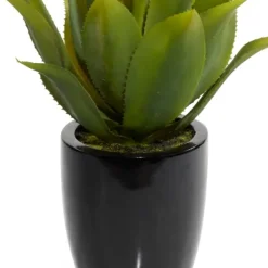 Arrangements & Greenery-Kirkland's Home Succulent In Sleek Black Planter Green/Black
