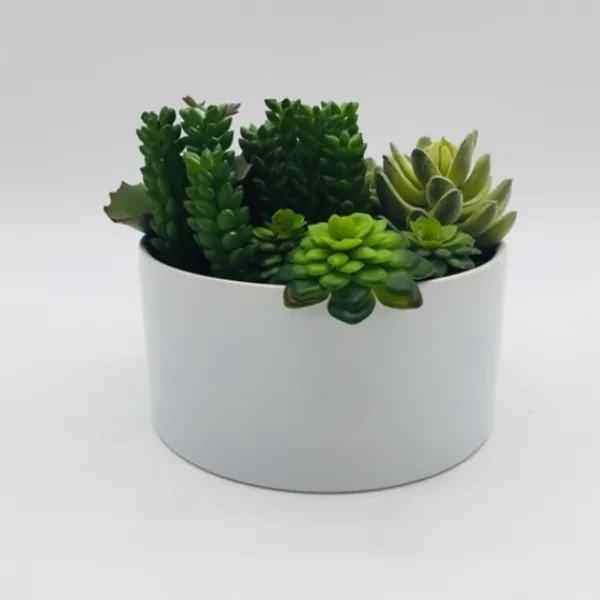Arrangements & Greenery-Kirkland's Home Succulent Variety In Modern White Planter Green/White
