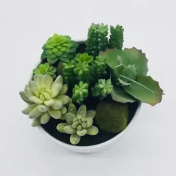 Arrangements & Greenery-Kirkland's Home Succulent Variety In Modern White Planter Green/White