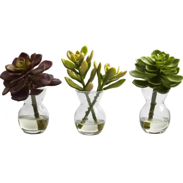 Arrangements & Greenery-Kirkland's Home Succulents In Glass Vases, Set Of 3 Green
