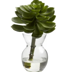 Arrangements & Greenery-Kirkland's Home Succulents In Glass Vases, Set Of 3 Green