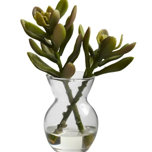 Arrangements & Greenery-Kirkland's Home Succulents In Glass Vases, Set Of 3 Green