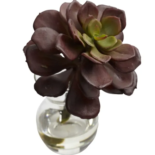 Arrangements & Greenery-Kirkland's Home Succulents In Glass Vases, Set Of 3 Green