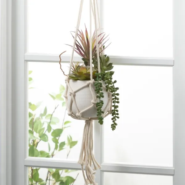 Arrangements & Greenery-Kirkland's Home Succulents In Hanging Macrame Planter Green/White