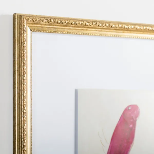 Framed Art-Kirkland's Home The Crimson Bird Framed Art Print White/Red