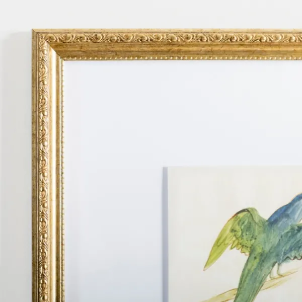 Framed Art-Kirkland's Home The Dark Green Bird Framed Art Print White/Green