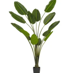Trees & Topiaries-Kirkland's Home Travelers Palm Potted Tree, 7 Ft.