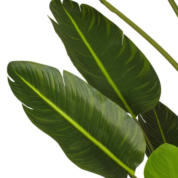 Trees & Topiaries-Kirkland's Home Travelers Palm Potted Tree, 7 Ft.